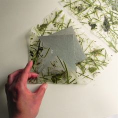 someone's hand is pointing at some grass on top of a piece of paper