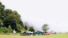 a group of houses sitting on the side of a lush green hillside covered in fog