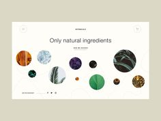 the website design for natural ingredients