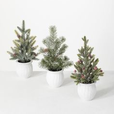 three small christmas trees in white ceramic pots