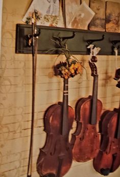 three violin's are hanging on the wall next to each other with flowers in vases