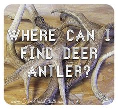 an antler with the words where can i find deer antlers?