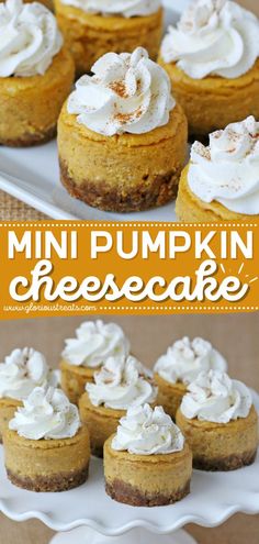 Mini Pumpkin Cheesecake, fall desserts, pumpkin recipes Individual Pumpkin Cheesecake Cups, Thanksgiving Desserts Pumpkin Cheesecake, Pumpkin Cheesecake Tarts, Mini No Bake Pumpkin Cheesecake, Small Pumpkin Cheesecake Recipe, Thanksgiving Small Desserts, Thanksgiving Recipes Dessert Cheesecake, Small Batch Pumpkin Cheesecake, Mini Sweet Potato Cheesecake