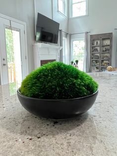 Turn your home or working space into a natural oasis with this unique natural moss centerpiece. MAINTENANCE FREE! No water, no sun, no extra care needed. Mood moss is for indoor use. Mood moss has been carefully grown and hand harvested in Florida, USA and has been preserved using non-toxic substances, being perfectly safe in any living areas. The moss is placed and glued to the ceramic bowl and they will live together forever and ever. Moss is fantastic for purifying air (biofiltration) which i Moss Centerpiece, Moss Centerpieces, Black Bowl, Live Together, Green Palette, Forever And Ever, Working Space, Florida Usa, Ceramic Bowl