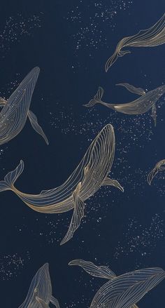 a group of humpbacks swimming in the ocean at night with stars above them