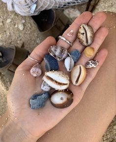 the summer i turned pretty / tsitp / belly conklin / the fisher boys / conrad fisher/ jeremiah fisher / books / summer / aesthetic / jenny han / ocean / seashells / beach / couple / shells / collection / hand / girl Shells