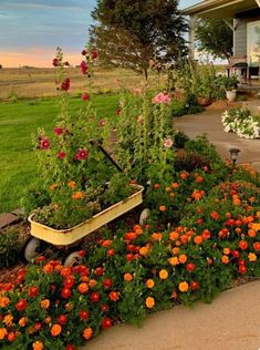 a wheelbarrow filled with lots of flowers in front of a house at sunset