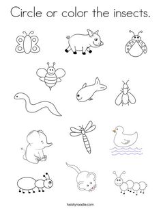 an animal and insect coloring page with the words circle or color the insects on it