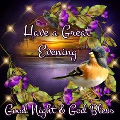 have a great evening good night and god's blessing with bird on purple background