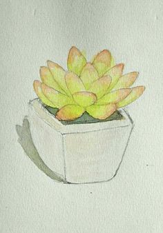 a drawing of a potted plant with yellow flowers