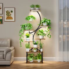 a living room filled with lots of potted plants