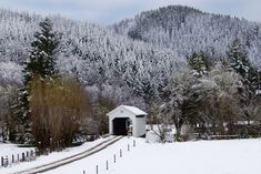 a snow covered mountain with a train coming out of the tunnel and trees in the foreground