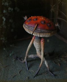 a close up of a mushroom on the ground with its legs spread out and it's eyes closed