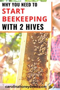 a beehive with the words why you need to start bee keeping with 2 hives