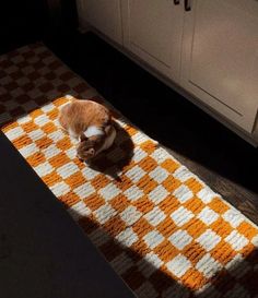 an orange and white cat sitting on top of a rug in the middle of a kitchen