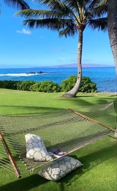 a hammock with two pillows on it in the grass next to some palm trees