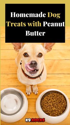 a dog sitting next to two bowls with food in them and the words homemade dog treats with peanut butter