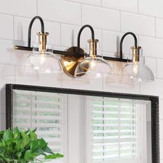 a bathroom vanity with three lights and a mirror on the wall next to a potted plant