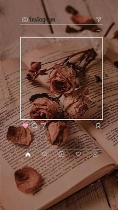 an open book with dried flowers on it and the text overlay reads instagram