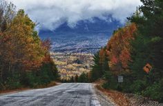 an empty road surrounded by trees with mountains in the background on a cloudy autumn day