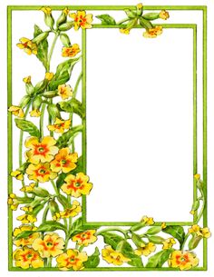 a green frame with yellow flowers and leaves on the edges, in front of a white background