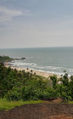 the beach is next to some trees and water