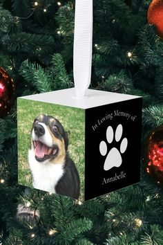 a dog ornament hanging on a christmas tree with its paw print and saying it's loving memory of an animal