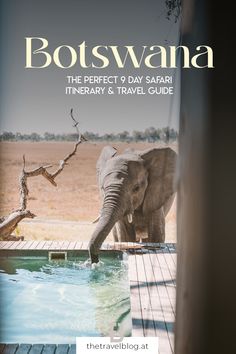 an elephant standing next to a pool in the middle of a field with text that reads, botswana the perfect 9 day safari itinery & travel guide