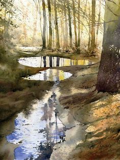 a watercolor painting of a stream in the woods