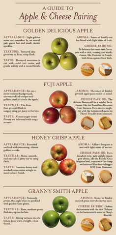 an info sheet describing the different types of apples and how they are used to make them