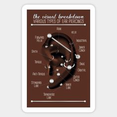 a poster with the words and description of various types of ear piercings on it