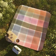 a picnic blanket and some food on the ground