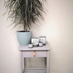 a potted plant sitting on top of a table next to two cans of paint