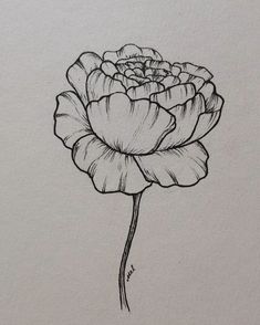 a black and white drawing of a flower