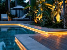 an outdoor swimming pool lit up at night with plants and trees in the back ground