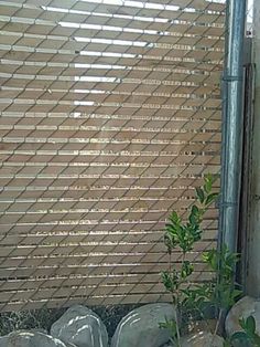 a cat sitting on the ground in front of a window with a mesh screen behind it