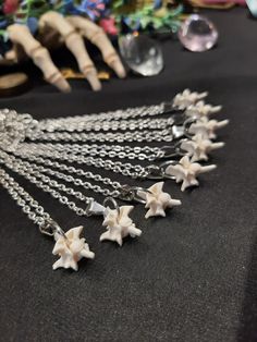 Have a Look at These Perfect Little Rattlesnake Vertebrae Pendants! Please Check The Photos to be sure of the size here, They are Medium Sized Vertebrae. About 1/2 Inch In Size. The Hardware is All Stainless Steel. The Stainless Steel Chain can Be Your Chosen Length of 20, 22, 24, or 26 Inches long. All Items Ship Within 1-3 Days via USPS First Class Service. Shipping on these will be 5.00 Additional items are FREE! ( USA ONLY ) International Shipping Will Be 20.00 And All Additional Items Add 5 Diy Bone Necklace, Snake Bone Necklace, Animal Bone Jewelry, Witch Necklace, Bone Crafts, Wiccan Jewelry, Bone Necklace, Bone Jewelry, Bone Pendant