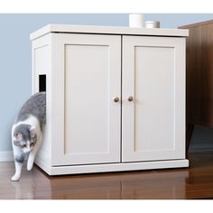 a grey and white cat hiding behind a cabinet with its front paws on the floor