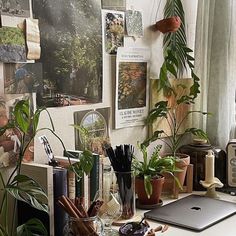 a desk with plants and pictures on the wall