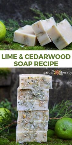 lime and cedarwood soap recipe on mossy ground with limes in the background