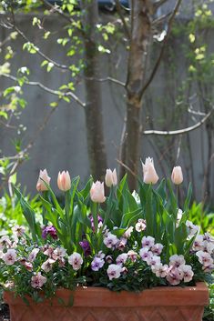 a potted planter filled with pink and white flowers