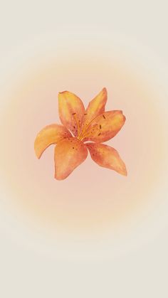 an orange flower is in the middle of a white background with light brown spots on it