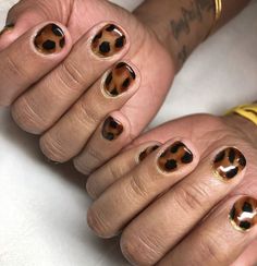 Short Nail Designs Leopard, Cheetah Short Nails, Short Nails Cheetah Print, Leopard Short Nails, Short Animal Print Nails, Cheetah Nails Short, Short Cheetah Print Nails, Cheetah Print Nails Short, Leopard Nails Short