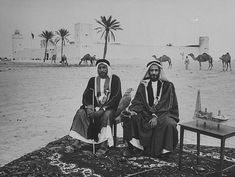 two men sitting on top of a rug in front of camels and palm trees