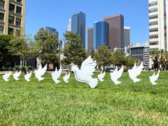 many white birds are flying in the grass near tall buildings and trees on a sunny day