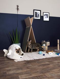 a cat is standing in front of a cardboard teepeet and other items on the floor