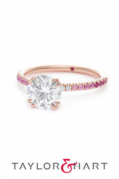 Damson diamond engagement ring with pink sapphire ombré band Rose Gold Round Engagement Ring, Round Solitaire Engagement Ring, Round Solitaire, Pave Engagement Ring, Round Diamond Engagement Rings, Pink Ombre