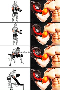 an image of a man doing exercises with dumbbells and oranges in his hand