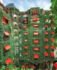 an apartment building covered in vines and red umbrellas