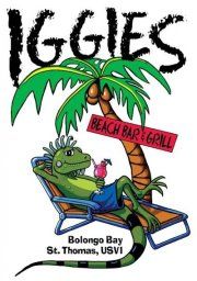 an image of a lizard on a beach chair with a sign that says iguages